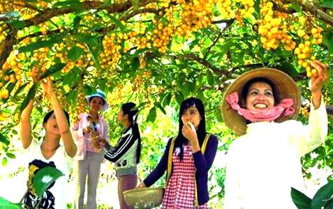 Tour du lịch Cần Thơ Sóc Trăng Bạc Liêu Cà Mau Mỹ Tho