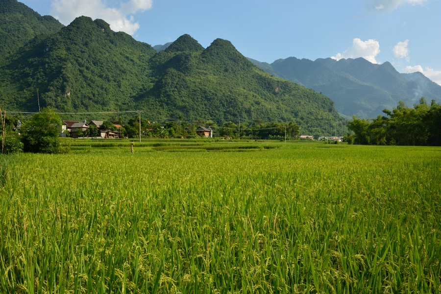 Tour du lịch Mai Châu giá rẻ